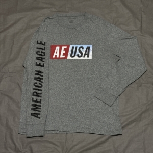 Buzo American Eagle Gris con Estampa