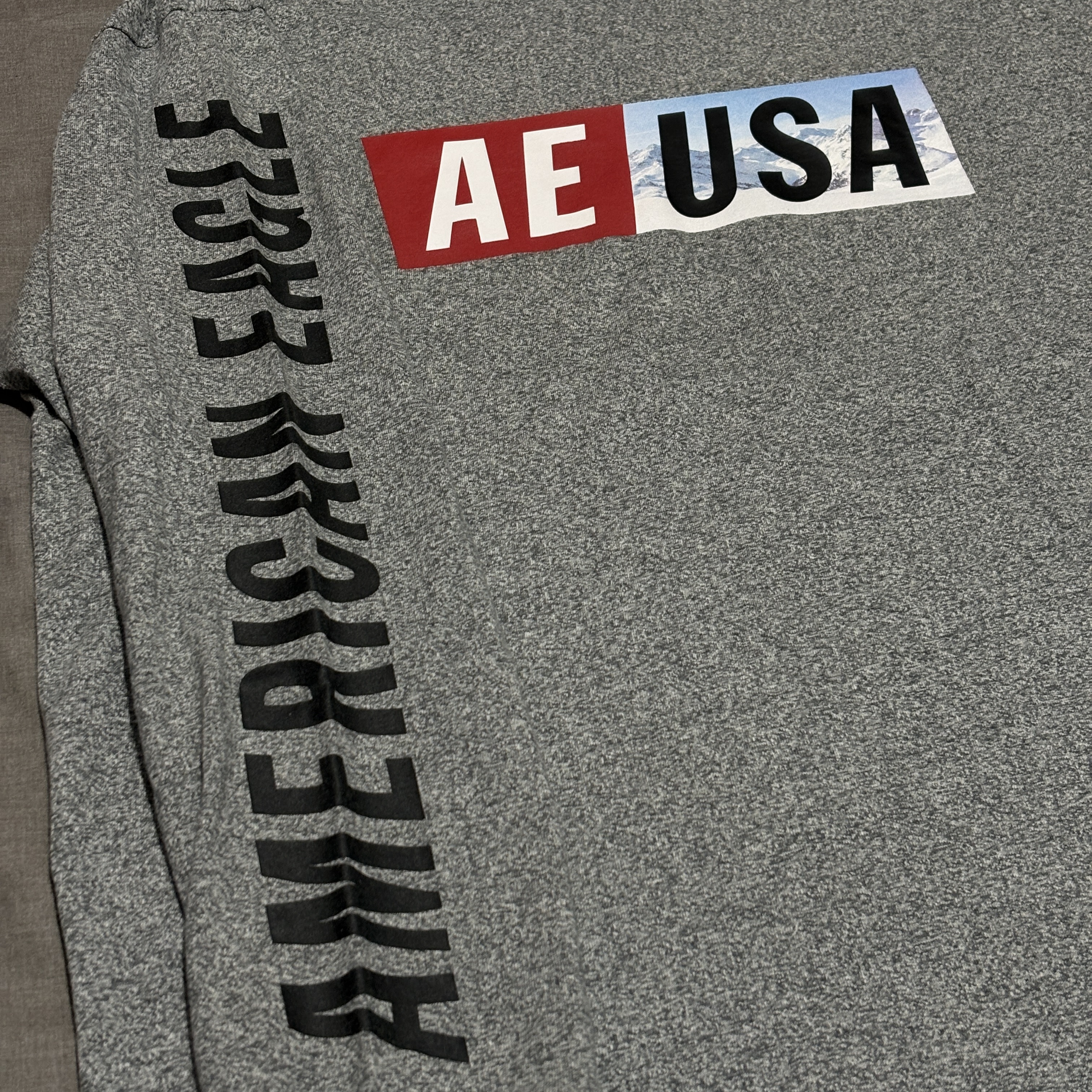 Buzo American Eagle Gris con Estampa - Vista 3 | Off Radar